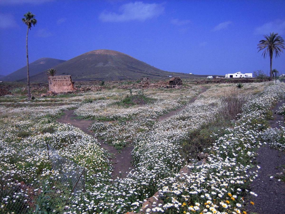 Castillo Lanzarote Villa Winni - Luxury Villa - Pet Friendly With Heated Pool La Asomada  Exterior foto