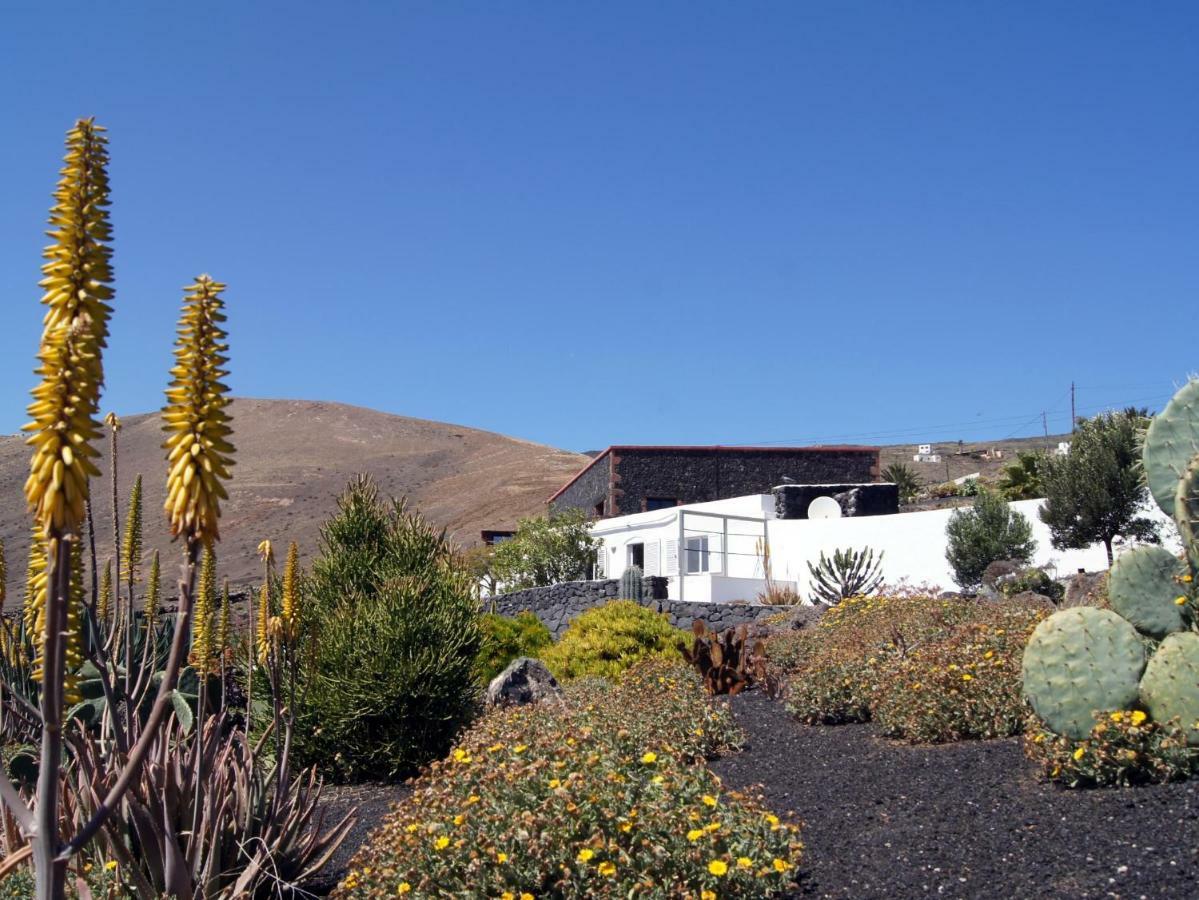 Castillo Lanzarote Villa Winni - Luxury Villa - Pet Friendly With Heated Pool La Asomada  Exterior foto