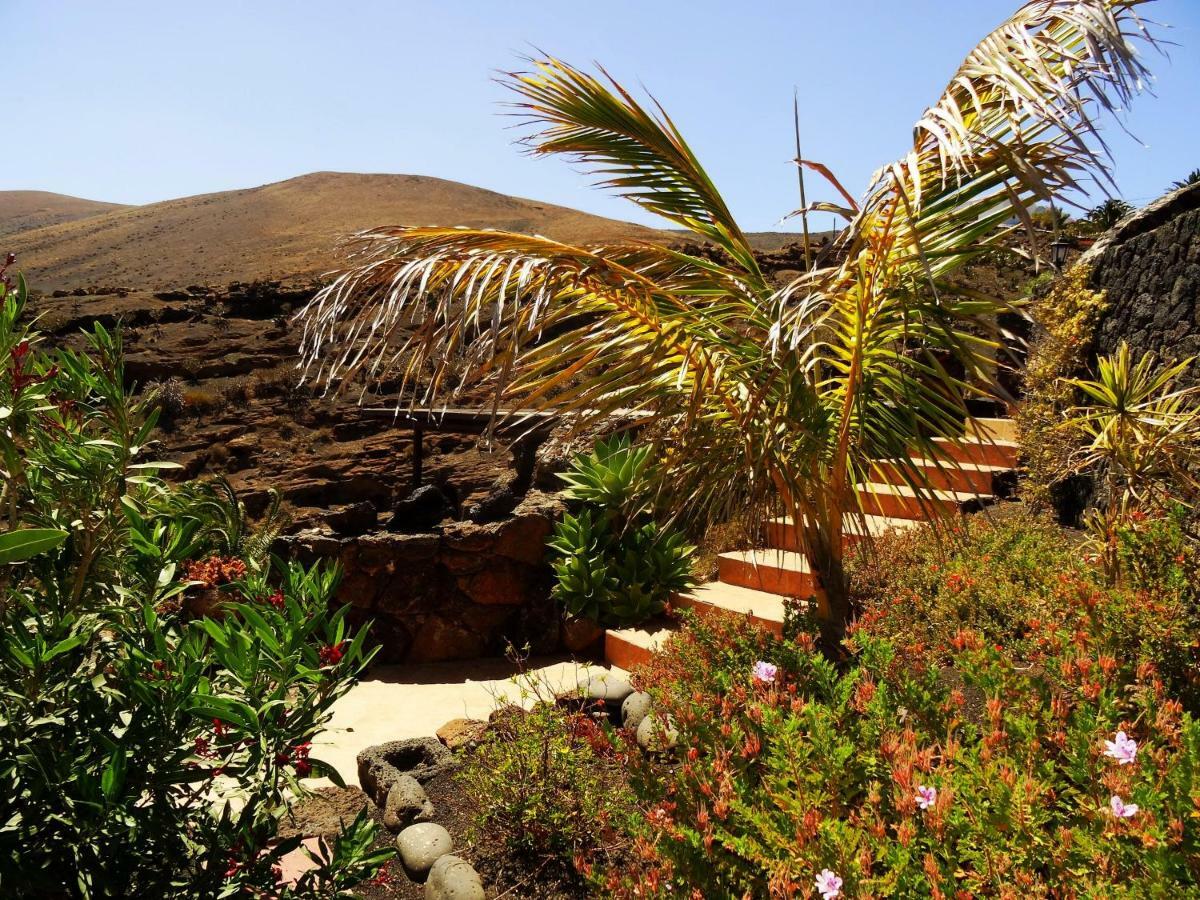 Castillo Lanzarote Villa Winni - Luxury Villa - Pet Friendly With Heated Pool La Asomada  Exterior foto